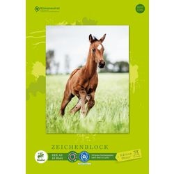 Grafischer Zeichenblock Staufen Dürer 055432000 104 g m² Papier