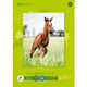 Grafischer Zeichenblock Staufen Dürer 055432000 104 g m² Papier