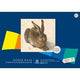 Bastelpapier Staufen Dürer 053524 130 g m² Papier