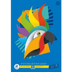 Bastelpapier Staufen Dürer 053635000 300 g m² Papier