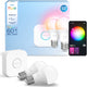 Philips Hue Essential Starter Kit – weißes und farbiges Licht – 1 Brücke – 2 Lampen A60