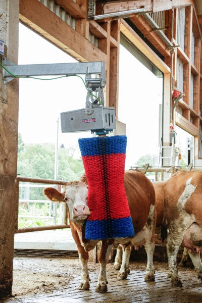 Happycow Kuhbürste Maxiswing