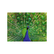 Ravensburger Jigsaw Puzzle Bunte Tiere Pauw, 500st. - afbeelding 2