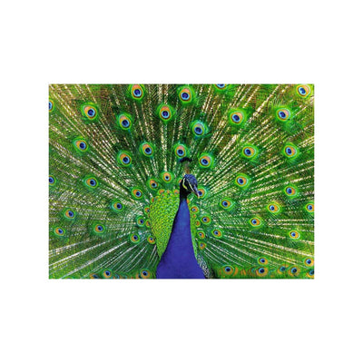 Ravensburger Jigsaw Puzzle Bunte Tiere Pauw, 500st.