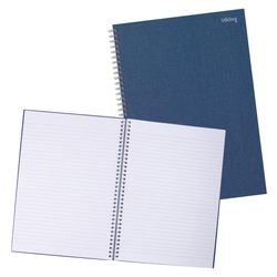 Vorlesungsblock Wikingerblau