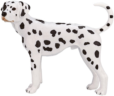 Mojo Ackerland Dalmatian 387248