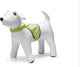 Beeztees Safety Gear Sicherheitsweste Ava – Hundebekleidung – reflektierend – Größe L – Halsumfang: 57 bis 63 cm – Brustumfang: 74 bis 82 cm