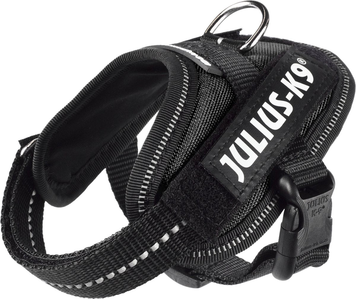 Julius k9