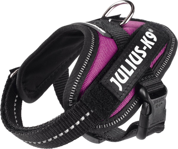 Julius K9 Julius-K9 IDC®Power-Geschirr, 3xS – Baby1, dunkelrosa