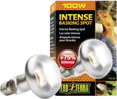 Exo Terra Basking – Spotlampe – Terrarienbeleuchtung – 100 W
