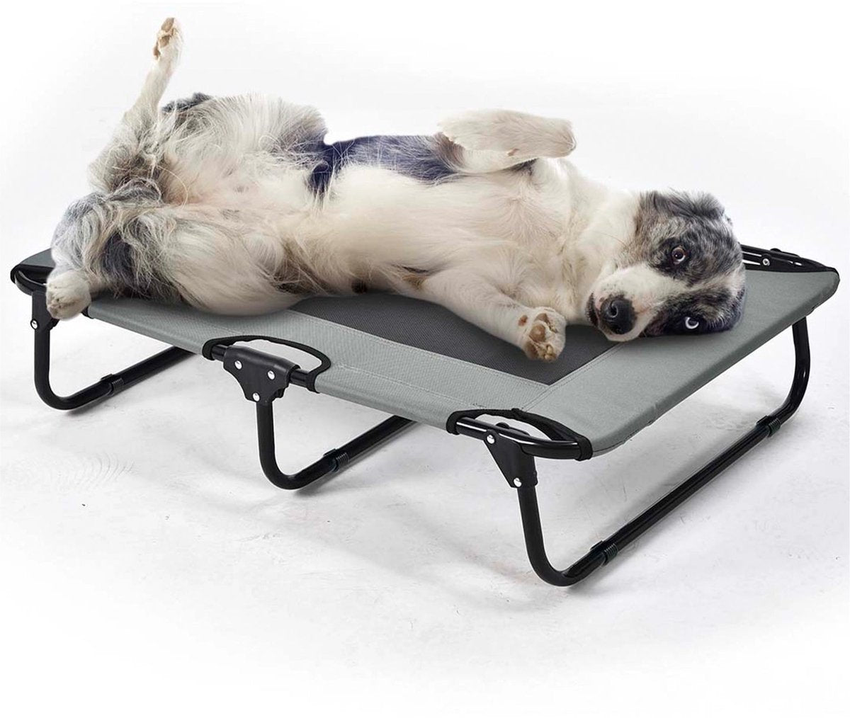 Duvo plus faltbares Hundebett Relax - XL