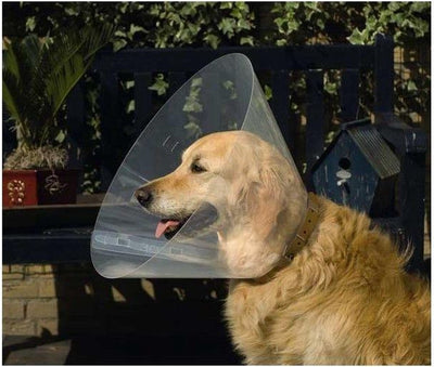 Beeztees Hundehalsband XXL - Hundehaube - Schutzhalsband - Kunststoff - 47-57x30 cm