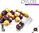 999Games 999 Games Pylos Mini – Denksportaufgabe