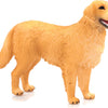 Mojo Ackerland Golden Retriever 387198
