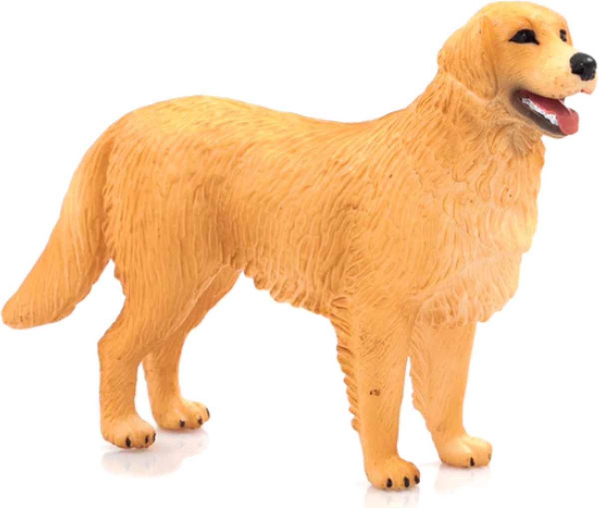 Mojo Ackerland Golden Retriever 387198
