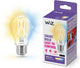 Zizfilament transparent A60 E27