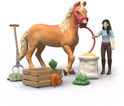 Schleich Horse Club Emliy's Pflegeset 42797