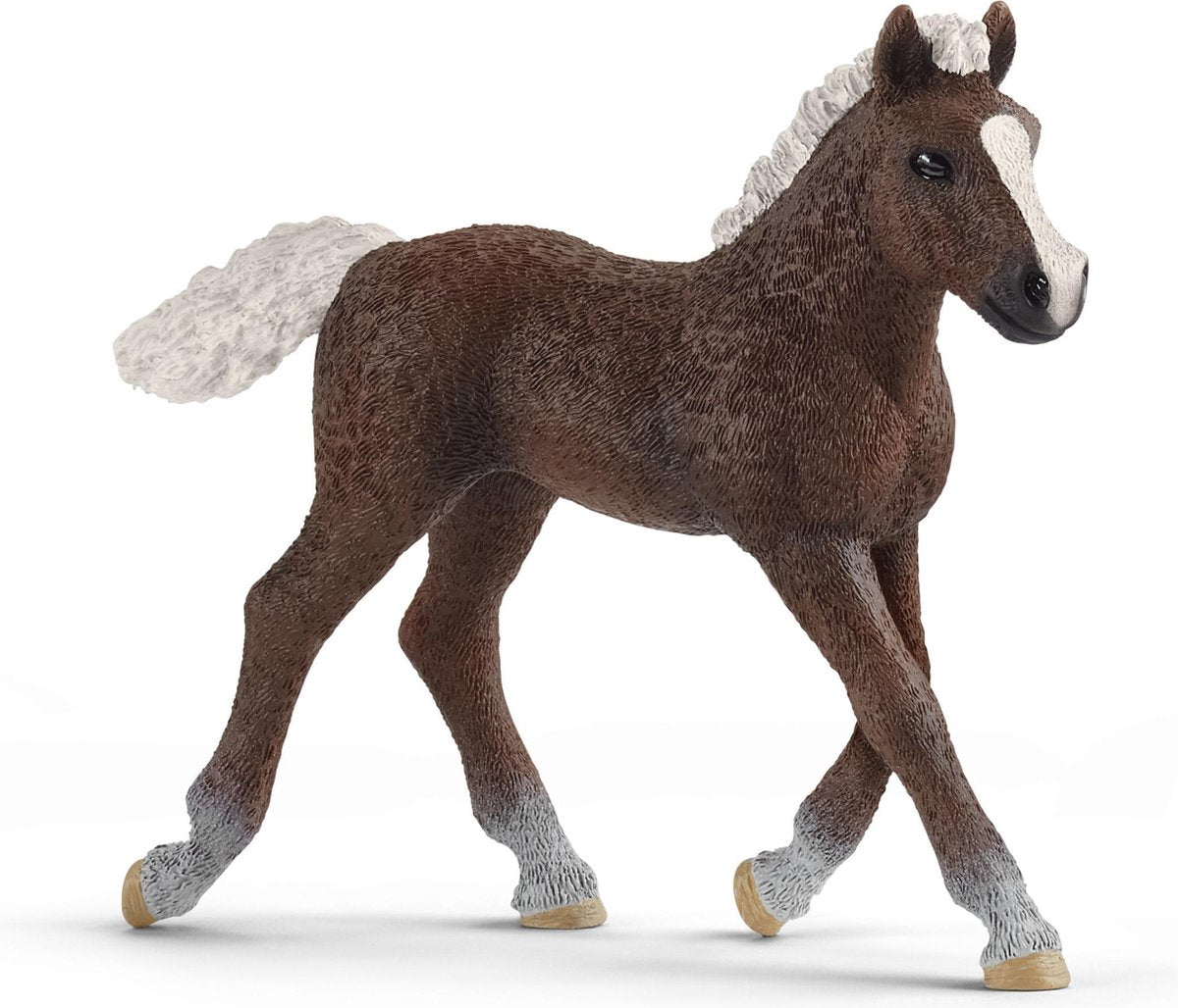 Schlich Horse Club Schwarzer Wald Veulen 13899