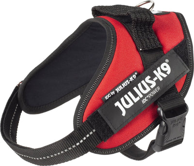 Julius k9