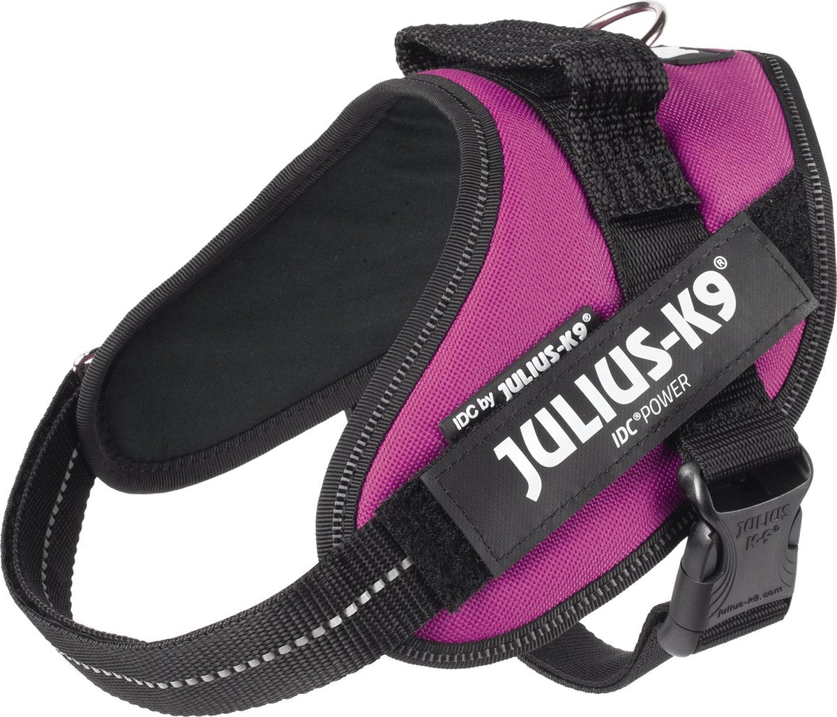 Julius k9