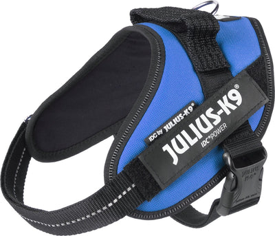 Julius k9