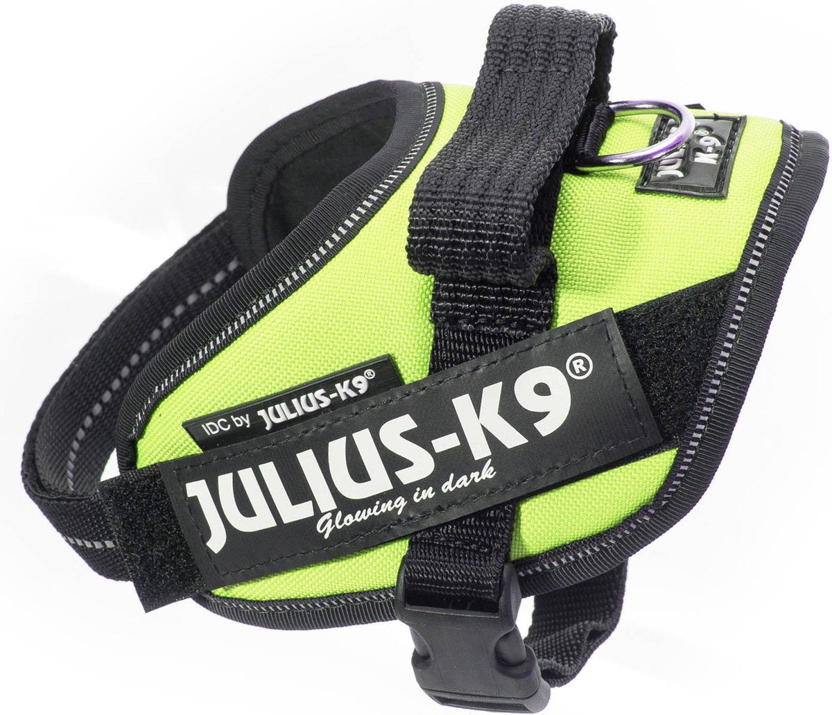 Julius k9
