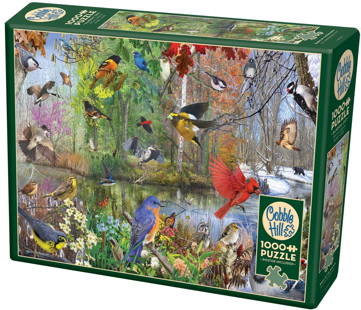 Cobble Hill Puzzle 1000 Teile – Vogel-Puzzle-Landschaft.