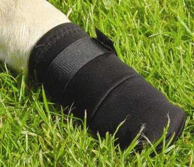 Beeztees Hundeschutzschuhe XXL – Hundesocken – Pfotenschutz – Schwarz – 2 Stück – 21 x 10 x 10 cm