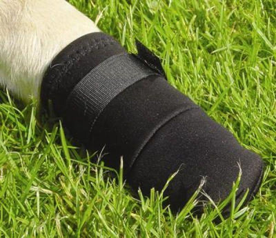 Beeztees Hundeschutzschuhe S – Hundesocken – Pfotenschutz – Schwarz – 2 Stück – 15 x 5,5 x 6 cm