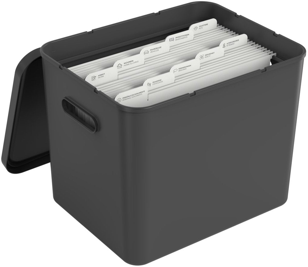 Rotho My Paper Archivbox A4, Dokumenten-Organizer mit Aufhängern, 40x29,2x29,8 cm, schwarz