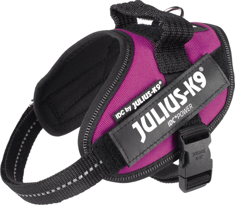 Julius k9