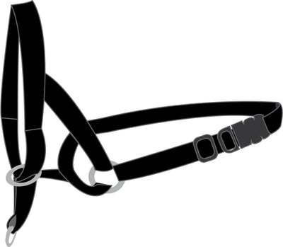 Flamingo Easy Leader - Halfter Hunde - Halsband Easy Leader schwarz XL 55-74cm 15mm