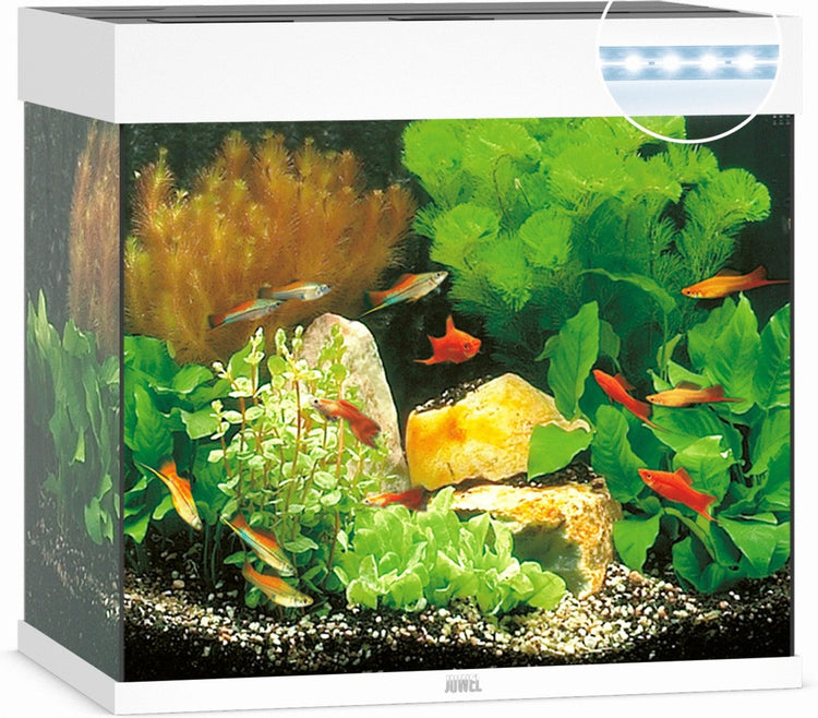 Juwel Lido 120 LED-Aquarium - Weiß - 120l - 61 x 41 x 58 cm