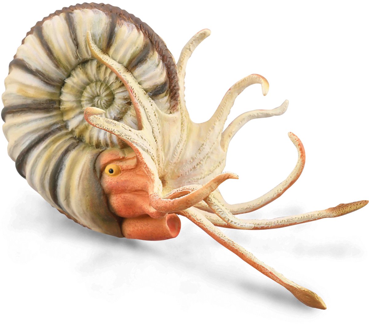 Collecta-Figur – Pleuroceras-Ammonit – (XL) – Vorgeschichte – handbemalt – Miniatur