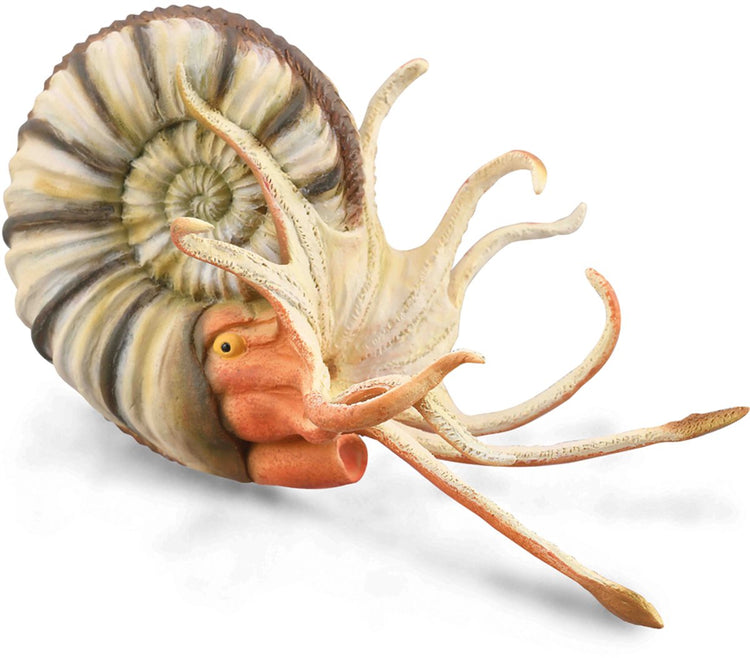 Collecta-Figur – Pleuroceras-Ammonit – (XL) – Vorgeschichte – handbemalt – Miniatur