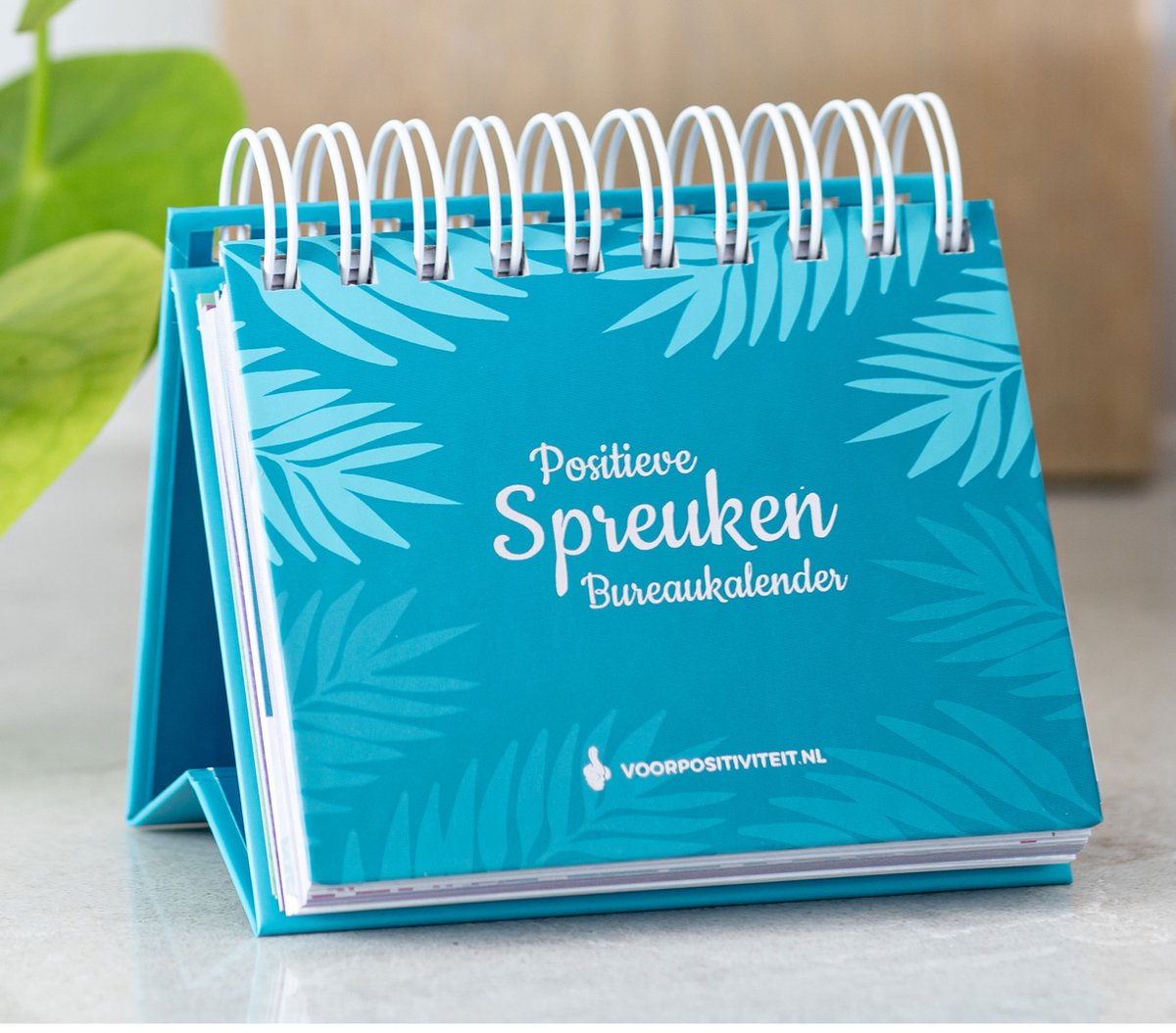 Für Positivität Tischkalender positive Sprüche - Unendlichkeit - Wohnzimmerdekoration - Kalender 2026 - 365 Tage