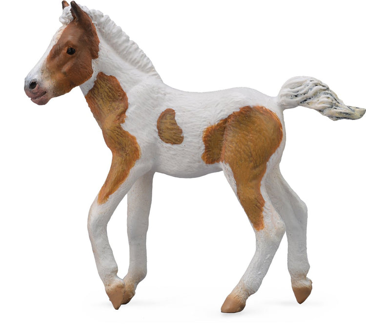 Collecta-Figur – Dartmoor Hill Fohlen – (m) – Pferde – handbemalt – Miniatur