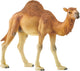 Schlich Wild Life Dromedaris 14832