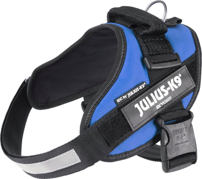 Julius K9 Julius-K9 IDC Power Harness – M – Größe 0 – Blau