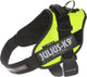 Julius K9 Julius-K9 IDC Power Harness – Hundegeschirr – XL – Größe 2 – Neon
