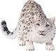 Mojo Wildlife Snow Leopard 387243