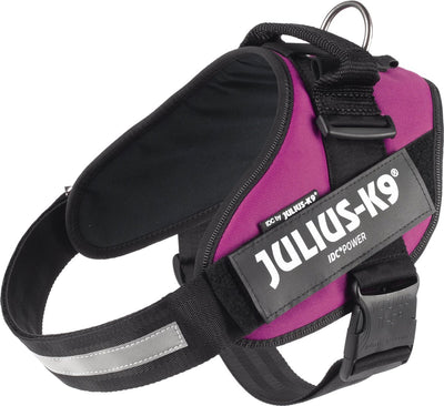 Julius K9 Julius-K9 IDC®Power-Geschirr, XL – Größe 2, dunkelrosa