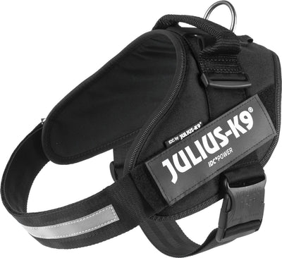 Julius k9