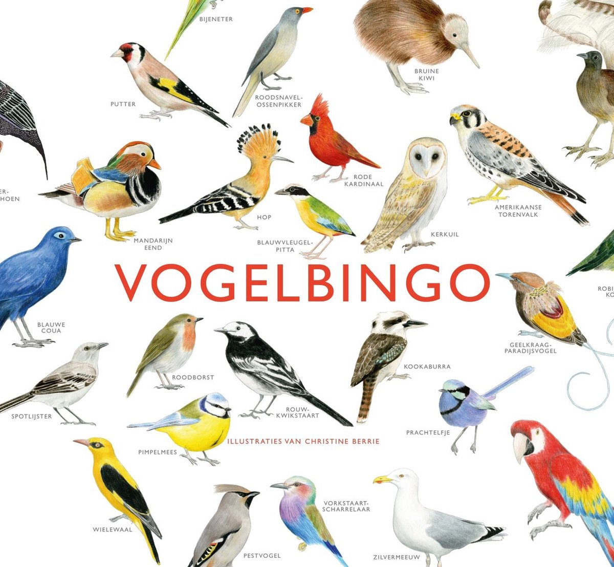 Kosmos-Vogel-Bingo