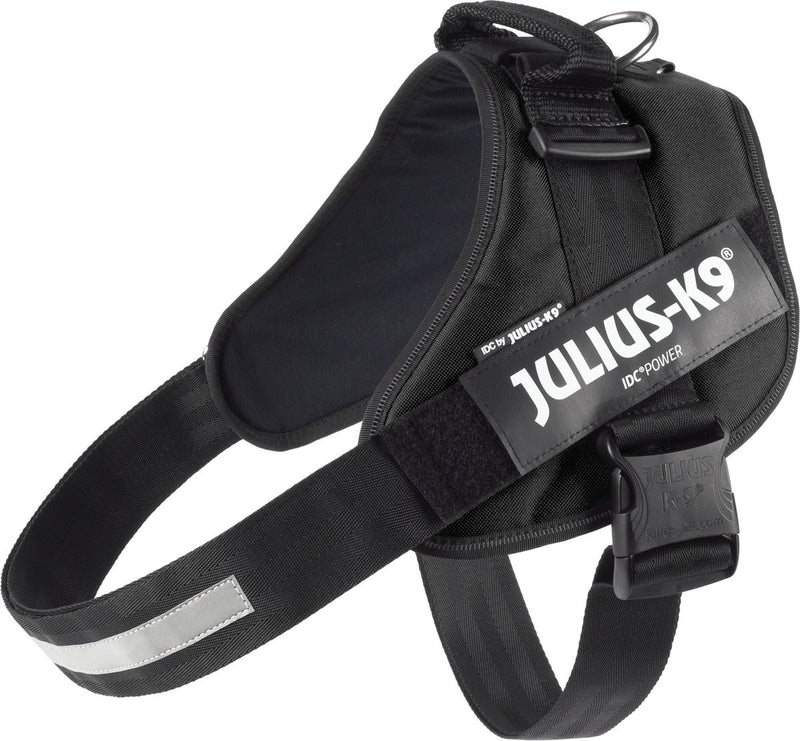 Julius k9