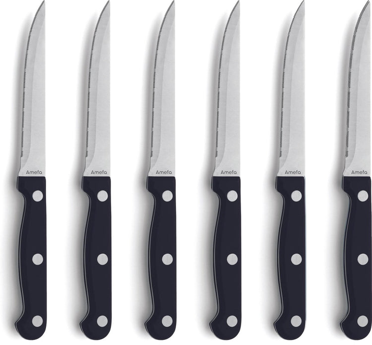 Amefa Steakmesser-Set – 6-teilig – 6 Personen – spülmaschinenfest – Tranchiermesser