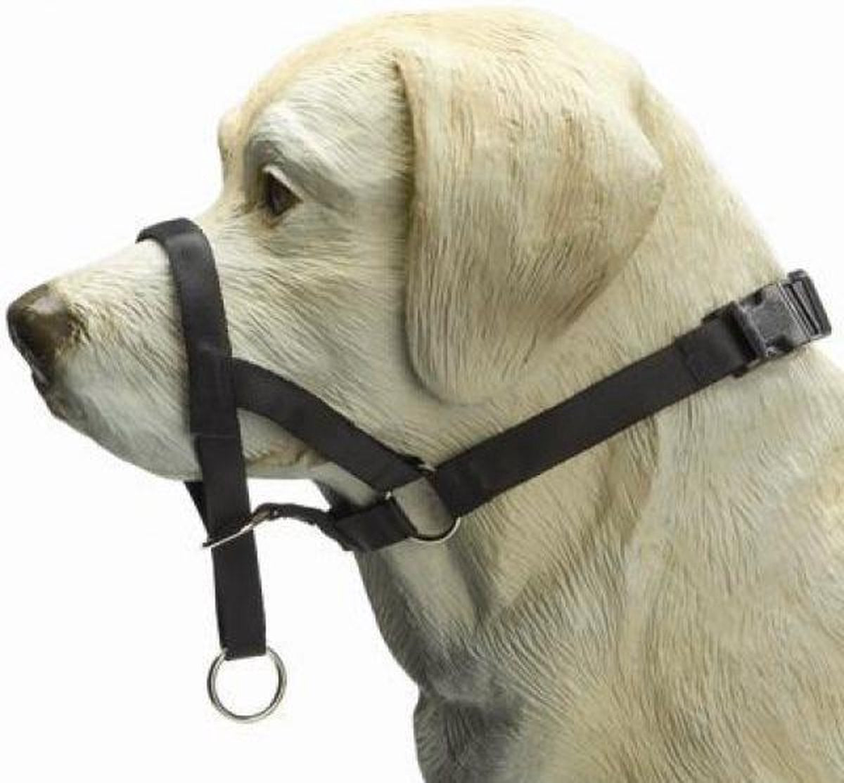 Beeztees Hundekontrolle – Hundehalsband – Schwarz – XL