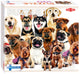 Taktische Puzzlegruppe oder niedliche Hunde, 100..