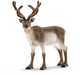 Schleich Wild Life Rendier 14837