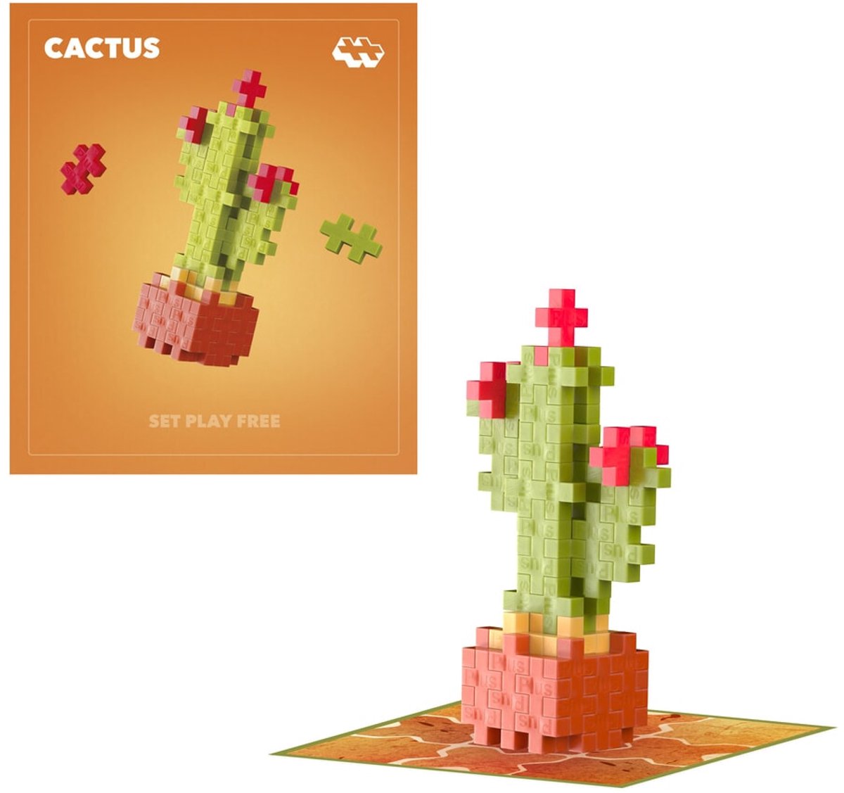 Plus-Plus-Pflanzenpakete – Kaktus-Plus-Plus-Blumenpflanzen (4343)